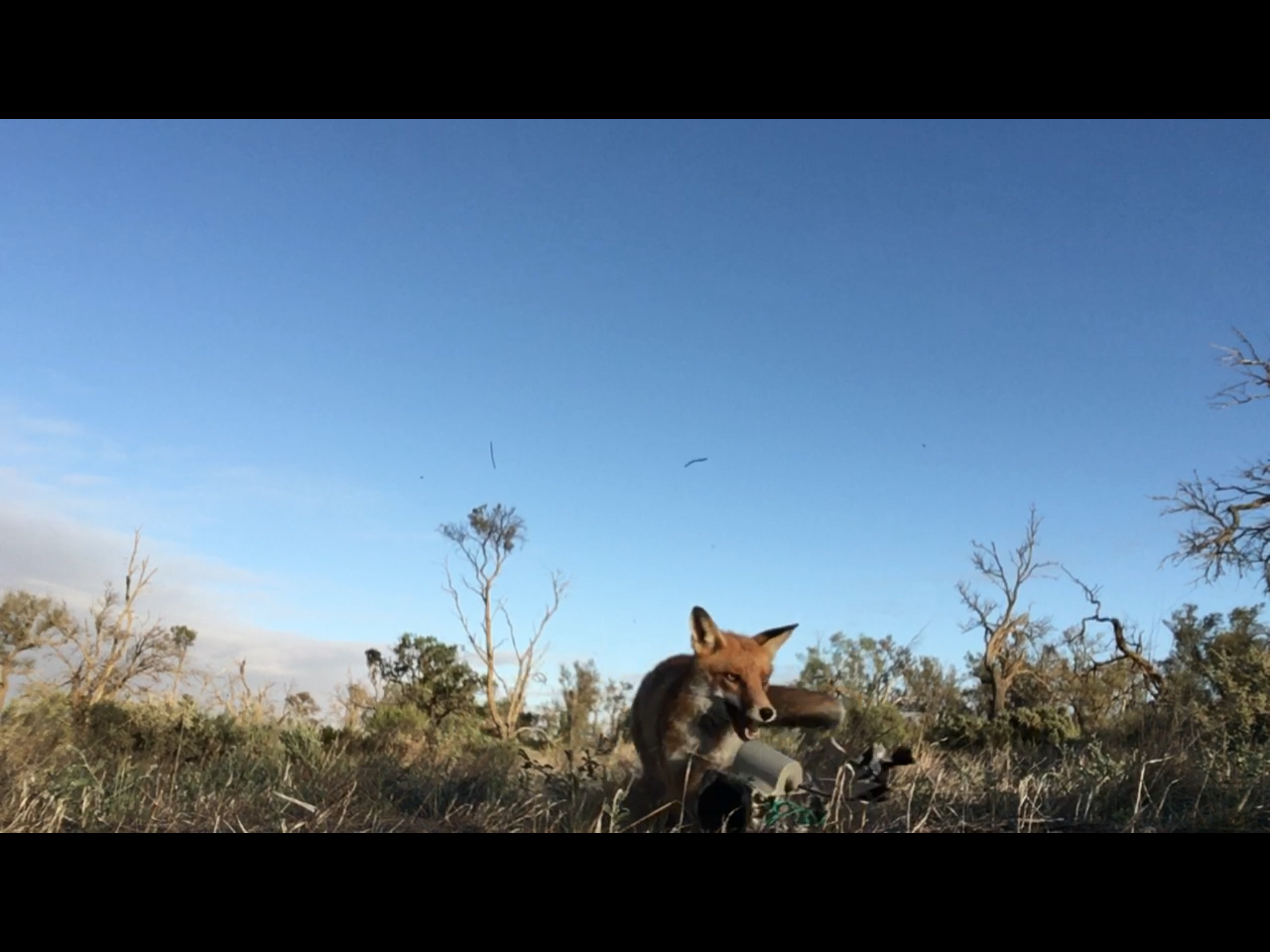 Field Staff Image 1